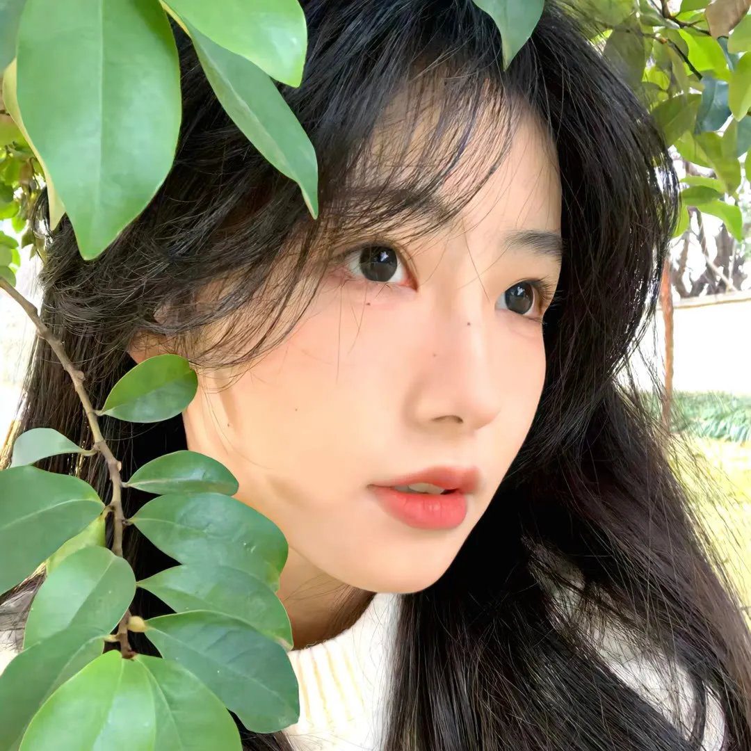 傀儡生涯